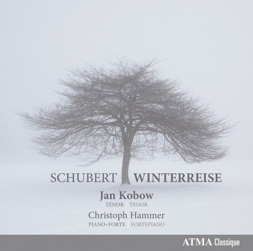 Schubert/ Kobow/ Hammer - Winterreise