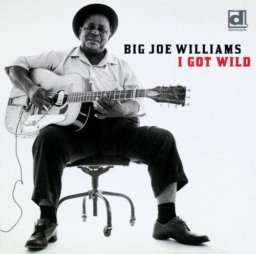 Big Williams Joe - I Got Wild
