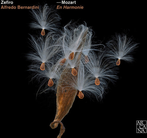 Mozart - En Harmonie