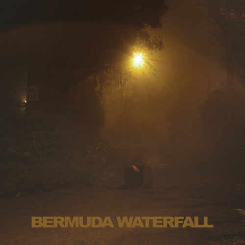 Sean Savage Nicholas - Bermuda Waterfall