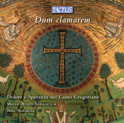 Sorrow & Hope in Gregorian Chant/ Various - Sorrow & Hope in Gregorian Chant / Various