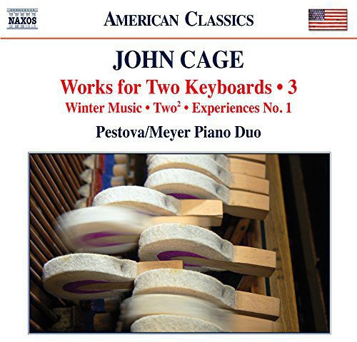 Cage - Works for Two Keyboards 3