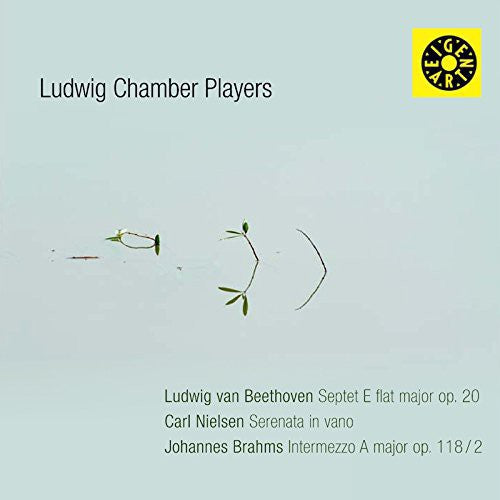 Beethoven/ Nielsen - Chamber Works