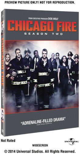 Chicago Fire: Season Two