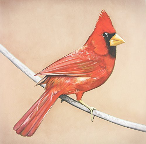Alexisonfire - Old Crows/Young Cardinals