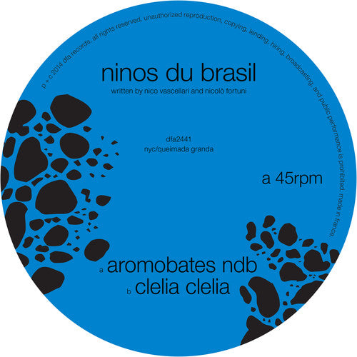 Ninos Du Brazil - Aromobates NBD
