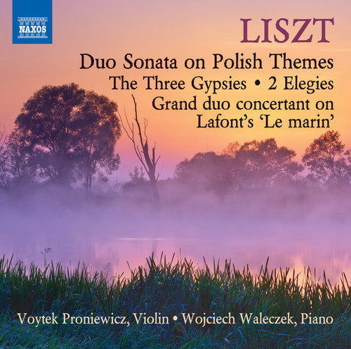 Liszt/ Proniewicz/ Waleczek - Music for Violin & Piano