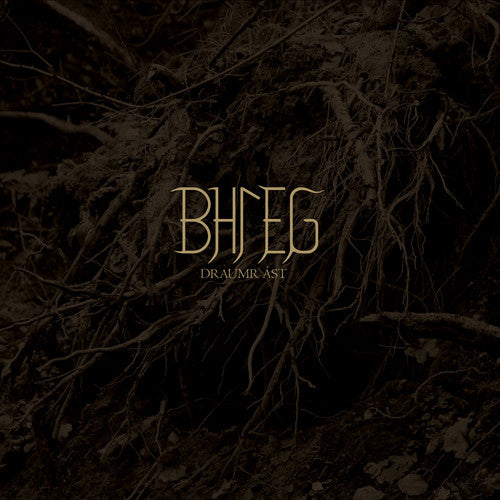 Bhleg - Draumr Ast