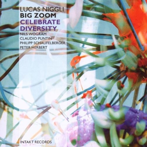 Niggli - Celebrate Diversity Zoom
