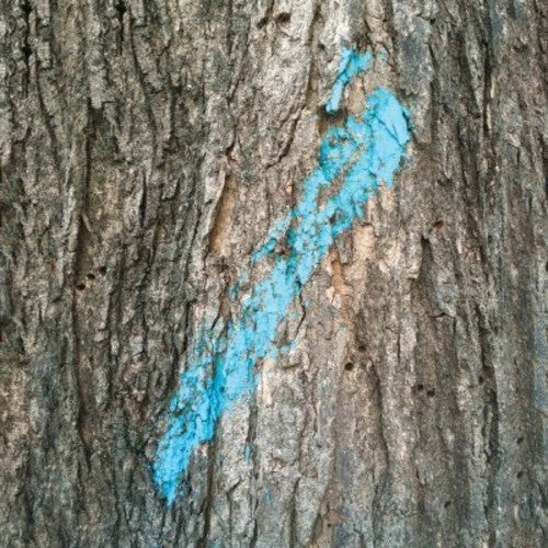 Taylor Deupree - Lost & Compiled