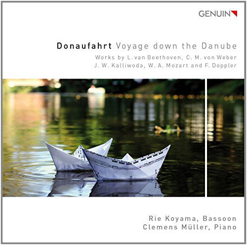 Beethoven/ Weber/ Kalliwoda/ Mozart/ Doppler - Voyage Down the Danube
