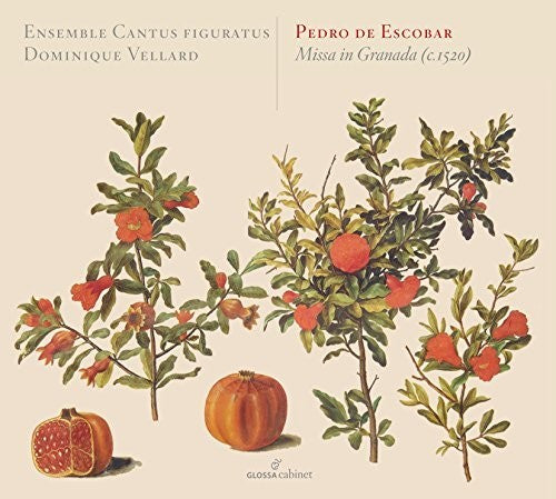 Cantus Ensemble - Missa in