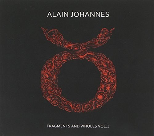 Alain Johannes - Fragments and Wholes 1
