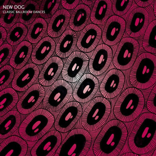 New Dog - Classic Ballroom Dances