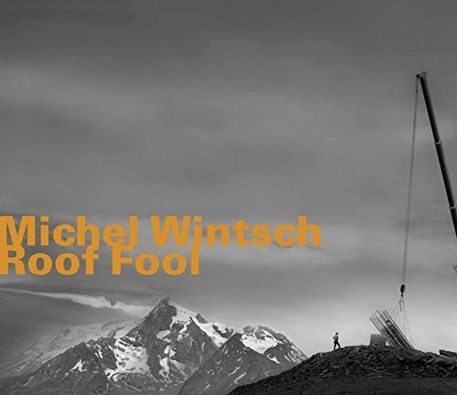 Michel Wintsch - Roof Fool