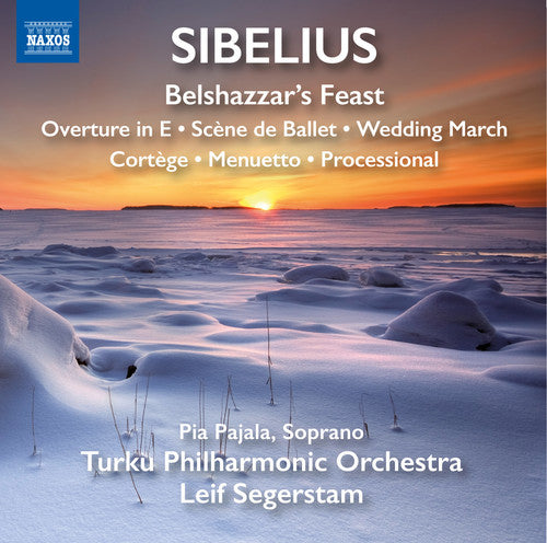 Sibelius/ Turku Philharmonic Orchestra - Orchestral Works