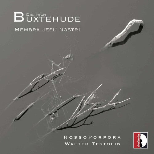 Buxtehude/ Rossoporpora/ Testolin - Membra Jesu Nostri