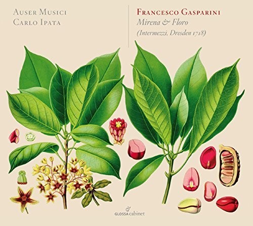 Gasparini/ Auser Musici/ Ipata - Mirena & Floro
