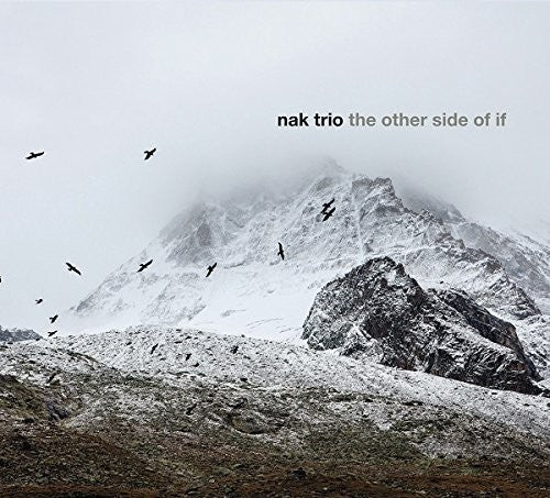 Nak Trio - The Other Side Of If