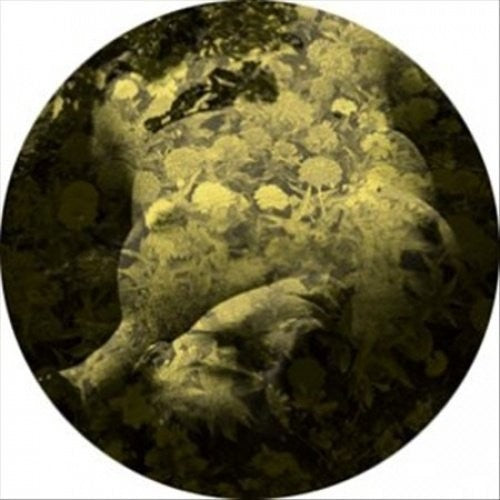 Salva - Yellobone