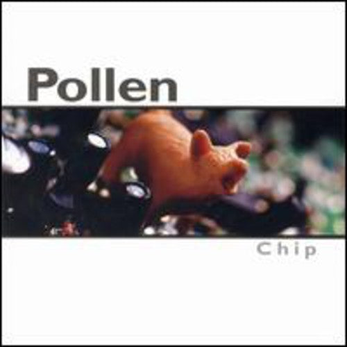 Pollen - Chip