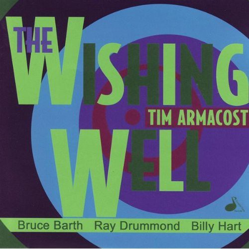 Tim Armacost - The Wishing Well