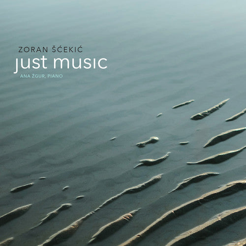Scekic/ Zgur/ Scekic - Scekic: Just Music