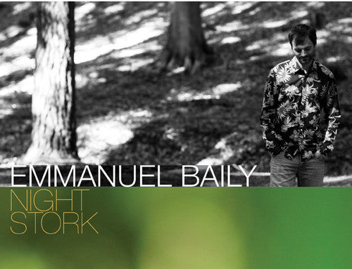 Emmanuel Baily - Night Stork