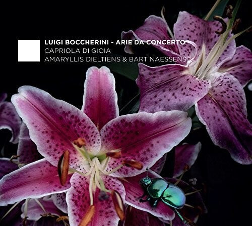 Boccherini/ Dieltiens/ Naessens - Boccherini: Arie Da Concerto