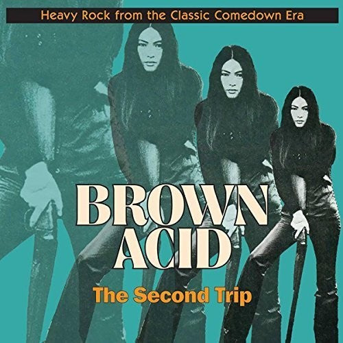 Various - Brown Acid: Second Trip (Various Artists)