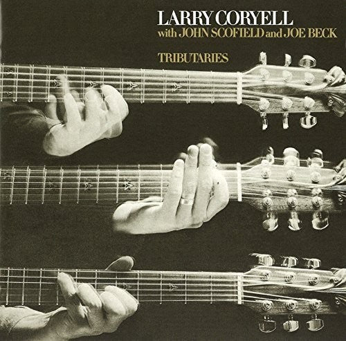 Larry Coryell - Tributaries