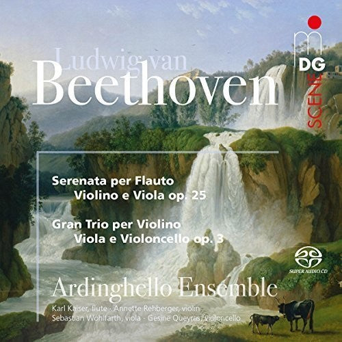 Ardinghello Ensemble - Beethoven: Serenade And String Trio
