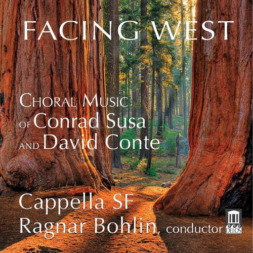 D. Conte / Cappella Sf/ Ragnar Bohlin - Facing West