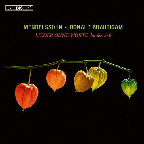 F. Mendelssohn / Ronald Brautigam - Mendelssohn: Lieder Ohne Worte Books 5-8