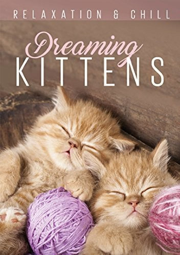 Dreaming Kittens