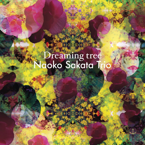 Various/ Various - Dreaming Tree