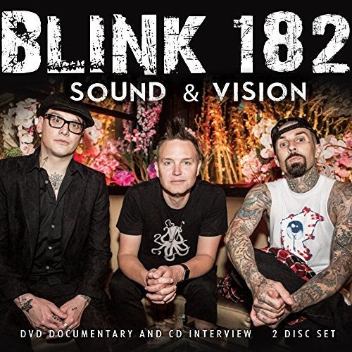 Blink 182 - Sound & Vision