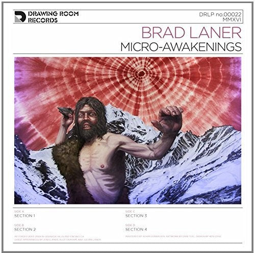 Brad Laner - Micro-awakenings