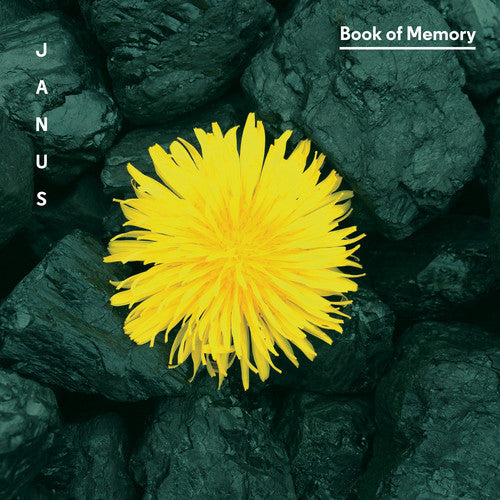 Lansky/ Treuting/ Janus/ Wadden/ Meyers - Book of Memory