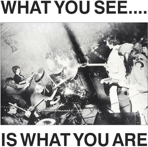 Alternative Here Now - What You See Is What You Are