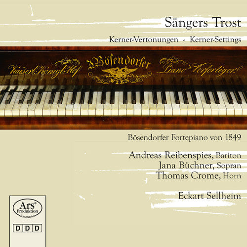 Dessauer/ Hensel/ Reibenspies/ Sellheim - Sangers Trost