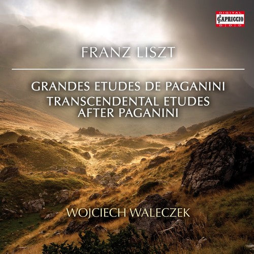 Liszt/ Walaczek - Transcendental Etudes After Paganini