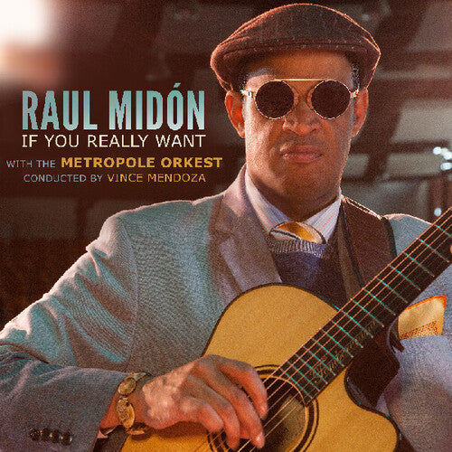 Raul Midon - If You Really Want