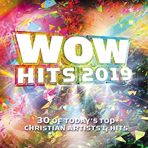 Wow Hits 2019/ Various - Wow Hits 2019 / Various