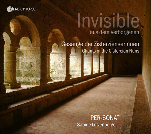 Invisible From a Secluded Place/ Various - Invisible from a Secluded Place