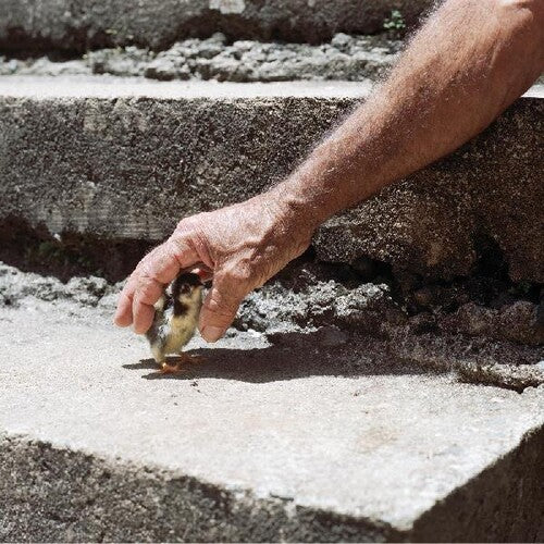 Big Thief - Mythological Beauty