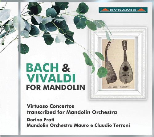 J.S. Bach / Vivaldi/ Frati/ Tenchini - Bach & Vivaldi for Mandolin