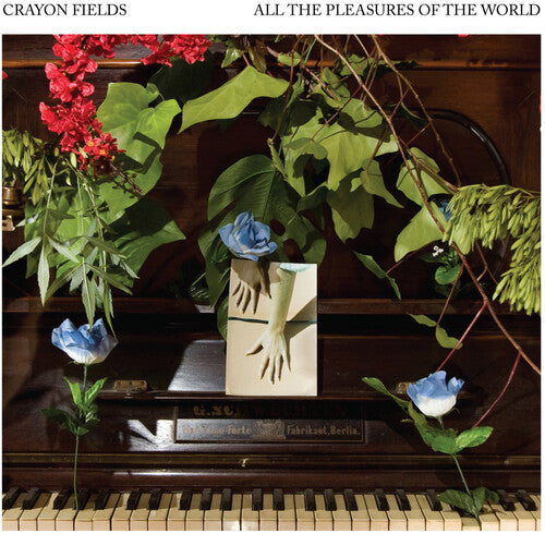 Crayon Fields - All the Pleasures Of the World