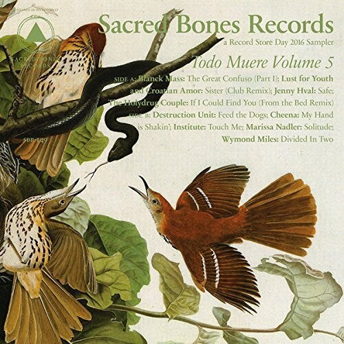 Various - TODO MUERE VOL 5