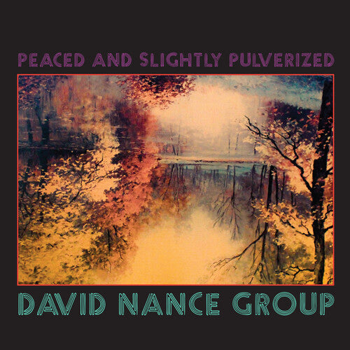 David Nance Group - PEACED & SLIGHTLY PULVERIZED
